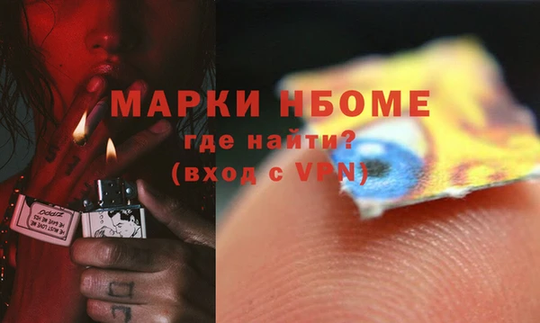 сатива Волоколамск