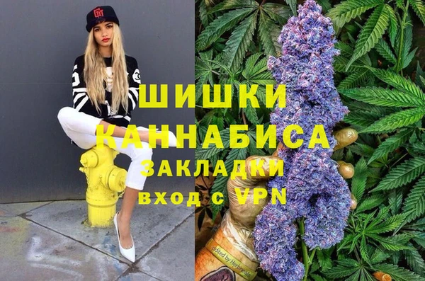 стаф Володарск