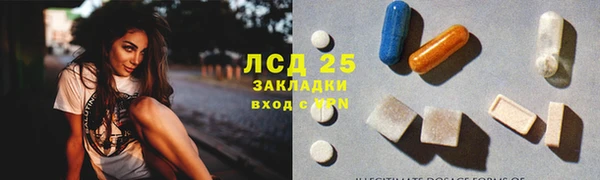 сатива Волоколамск
