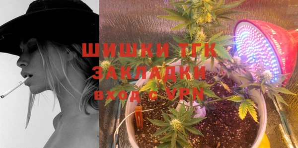 стаф Володарск
