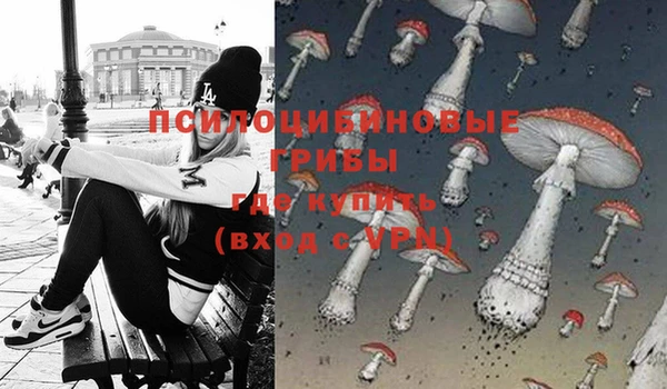 сатива Волоколамск