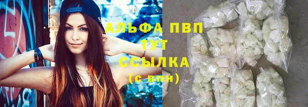 сатива Волоколамск